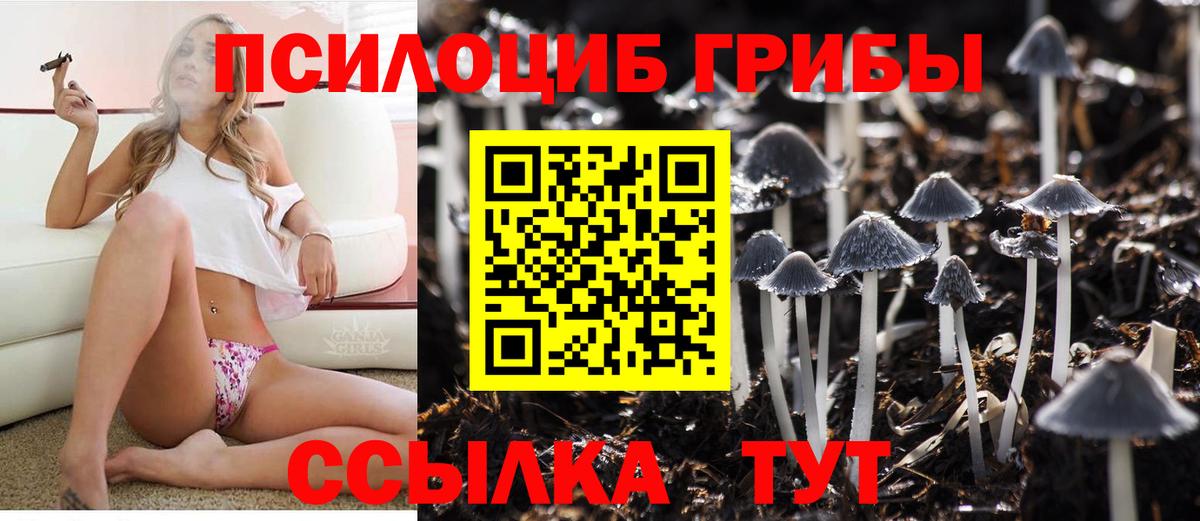 Псилоцибиновые грибы мицелий Кизилюрт
